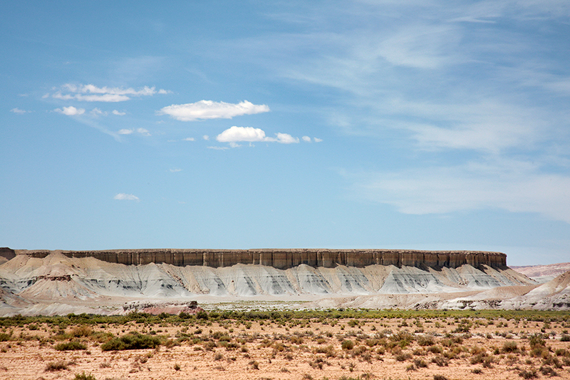 Bison : Antelope Island : Utah : Landscape Photos : Richard Moore : Photographer